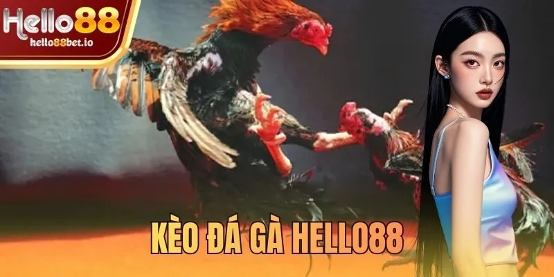 kèo đá gà Hello88